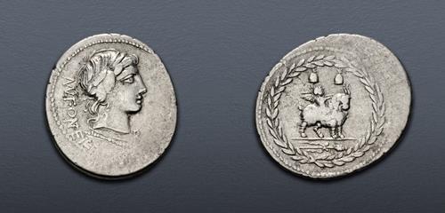 Lot 480 image