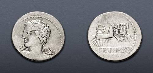 Lot 482 image