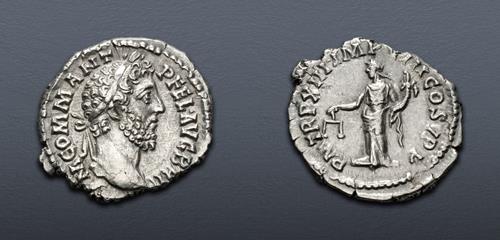 Lot 600 image