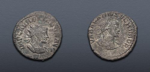 Lot 656 image