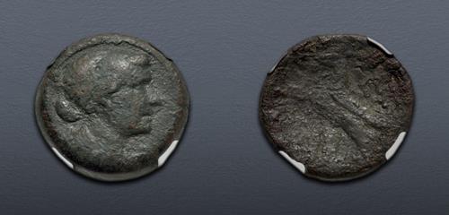 Lot 220 image