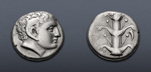 Lot 223 image