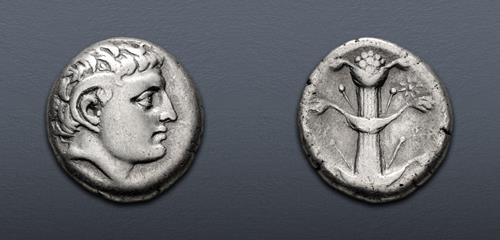 Lot 224 image