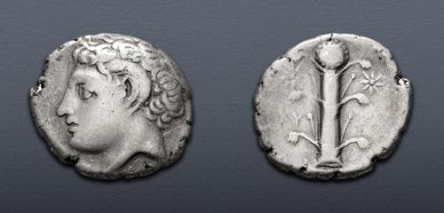 Lot 225 image