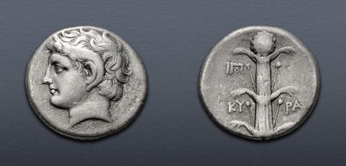 Lot 231 image