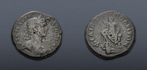 Lot 315 image