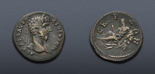 Lot 316 image