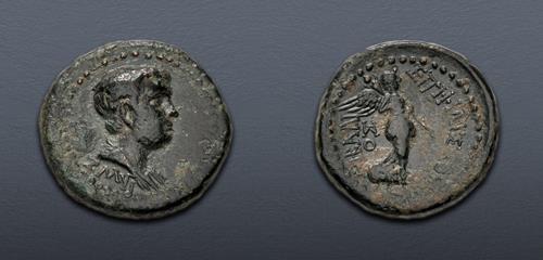 Lot 339 image
