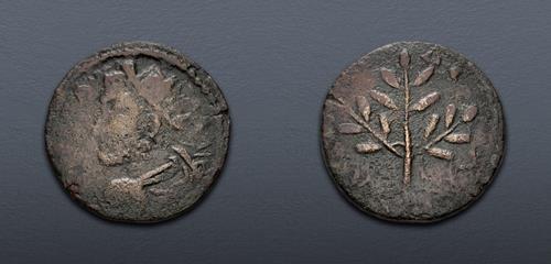 Lot 345 image