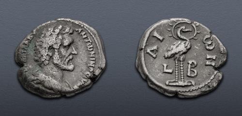 Lot 398 image