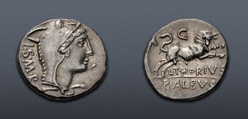 Lot 445 image