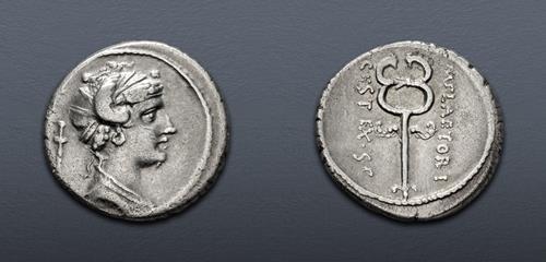 Lot 483 image
