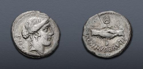 Lot 491 image