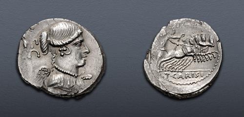 Lot 495 image