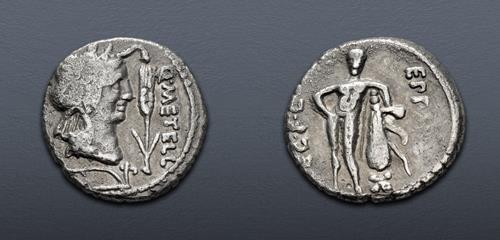 Lot 500 image