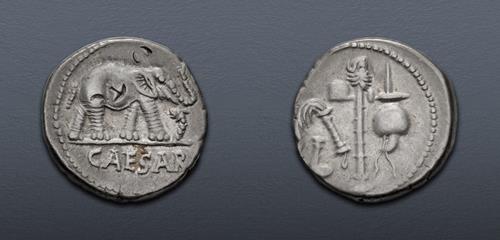 Lot 501 image