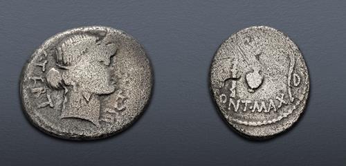 Lot 505 image