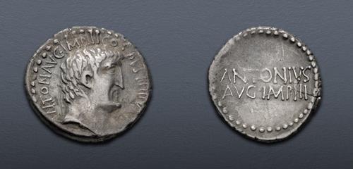 Lot 511 image