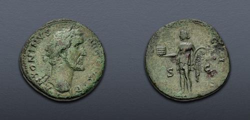 Lot 595 image