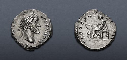 Lot 596 image