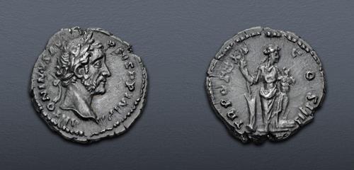 Lot 597 image