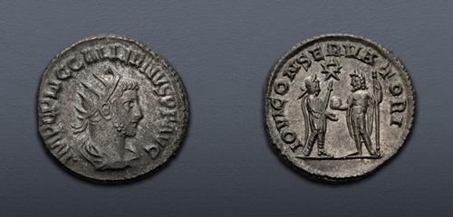 Lot 624 image