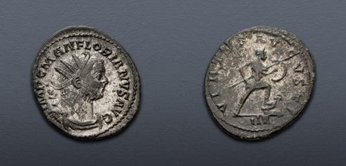 Lot 636 image