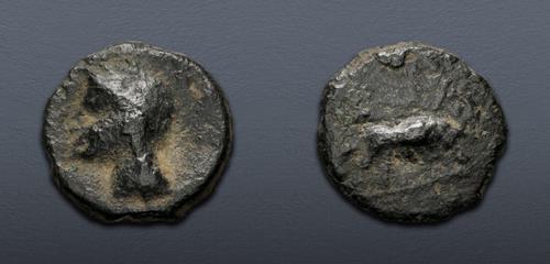Lot 775 image