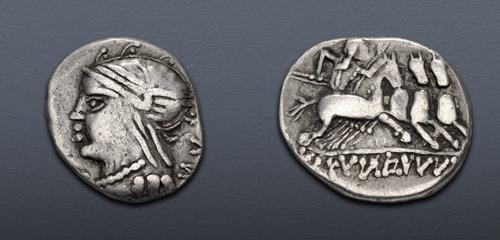 Lot 1 image