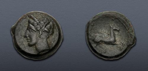 Lot 13 image