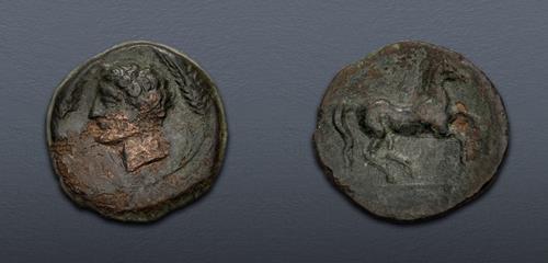 Lot 14 image