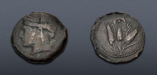 Lot 16 image