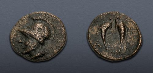Lot 64 image