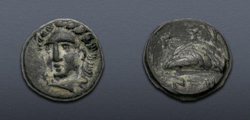 Lot 81 image