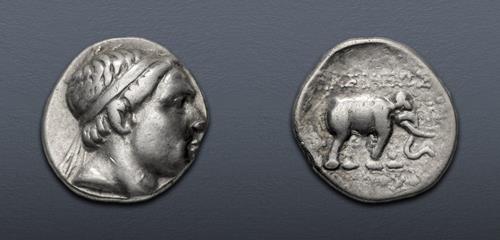 Lot 146 image