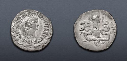 Lot 307 image