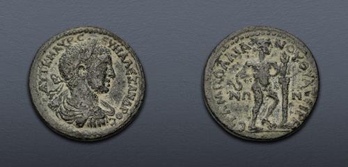 Lot 313 image