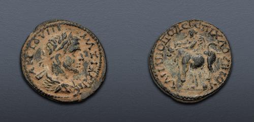 Lot 316 image