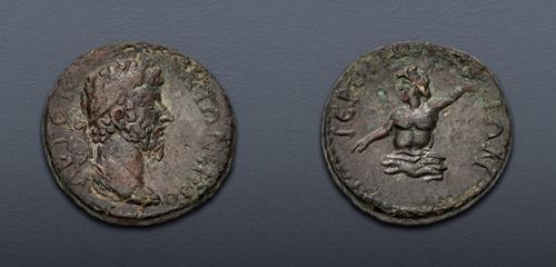 Lot 335 image