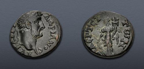 Lot 339 image