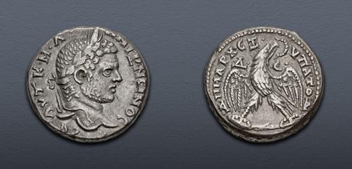 Lot 356 image