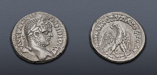 Lot 369 image