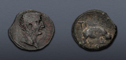 Lot 383 image