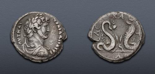 Lot 384 image
