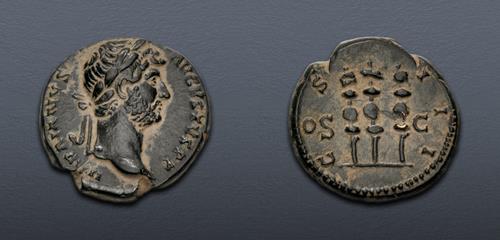 Lot 455 image