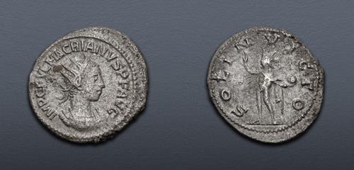 Lot 483 image