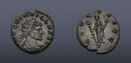 Lot 485 image