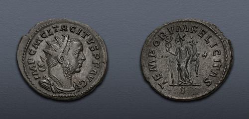 Lot 488 image
