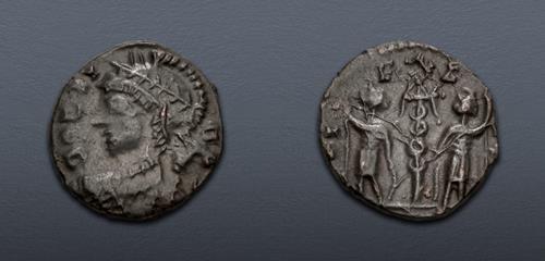 Lot 501 image