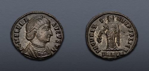 Lot 505 image